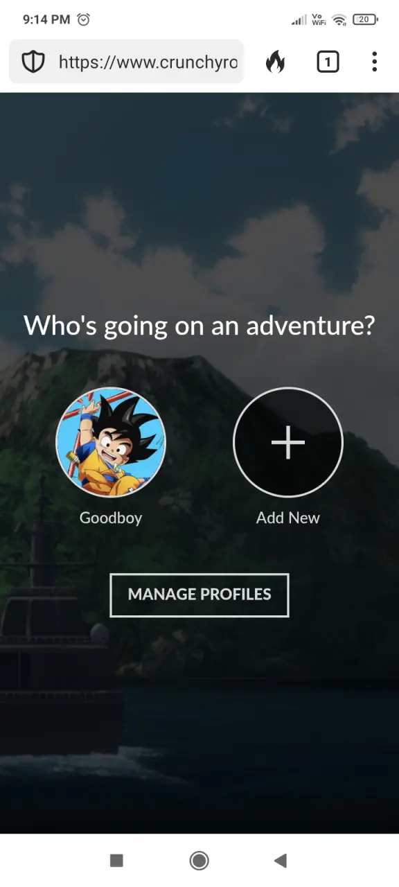 Screenshot_2025-04-16-21-14-36-165_com.duckduckgo.mobile.android.webp