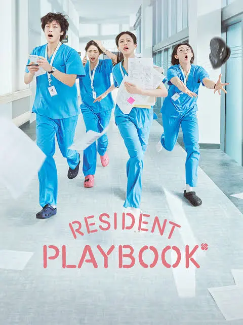 Resident Playbook (K-Drama)