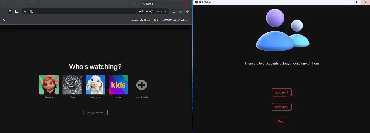 netflix.webp