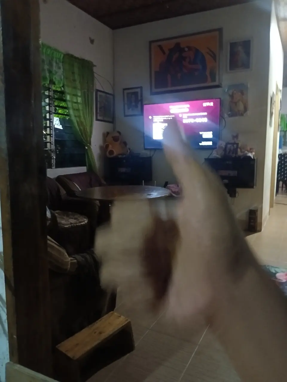 1000227267.webp