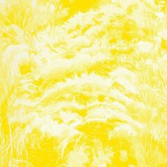Swim Surreal & Zero 7  In The Half Light (Instrumental) (2025)