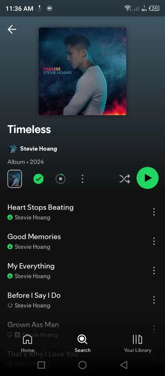 SPOTIFY (1).webp