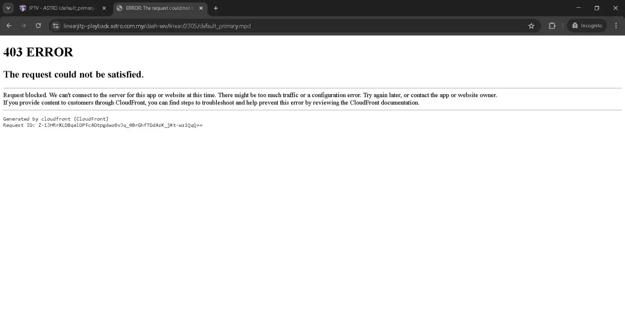 Capture.webp