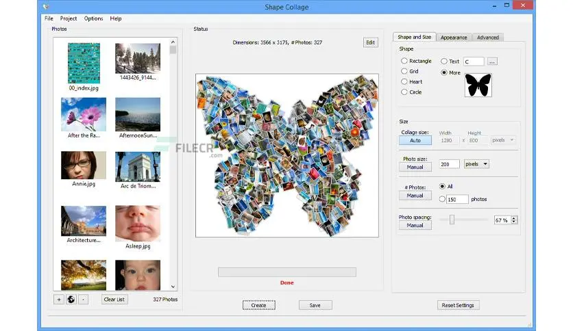 shape collage.webp