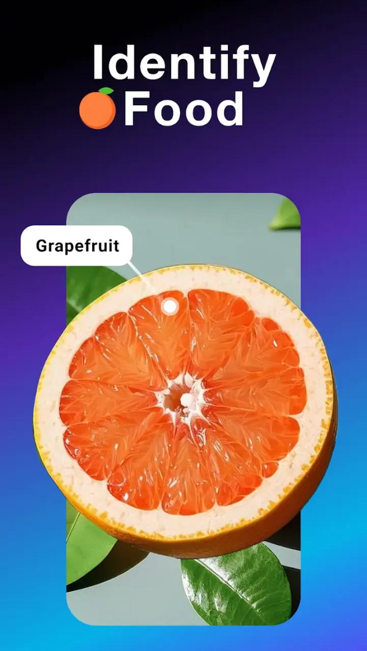 all-scanner-scan-identify-4.webp