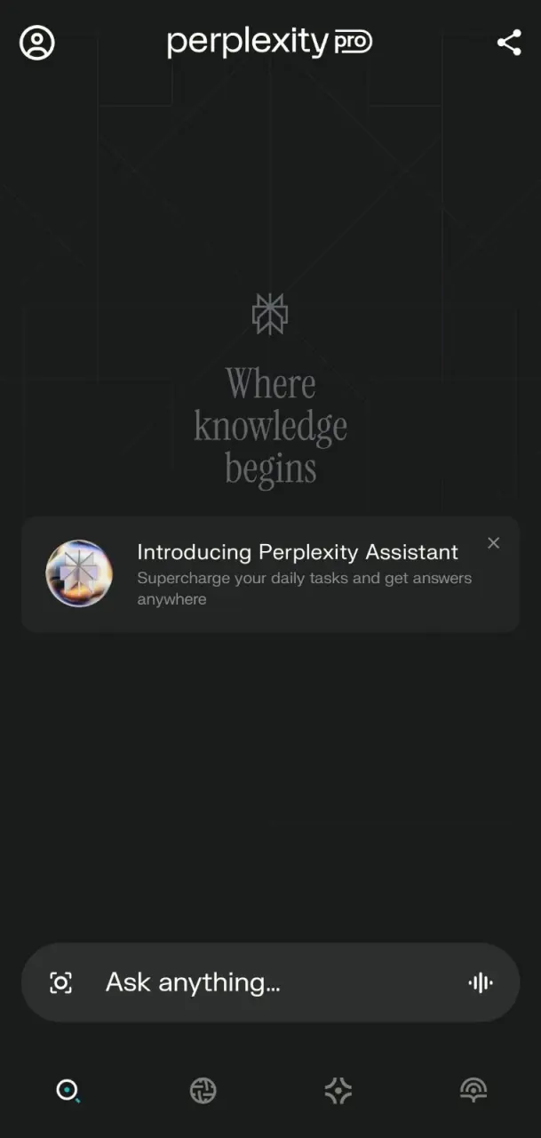 perplexity (1).webp