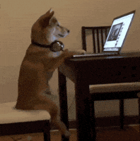200.gif