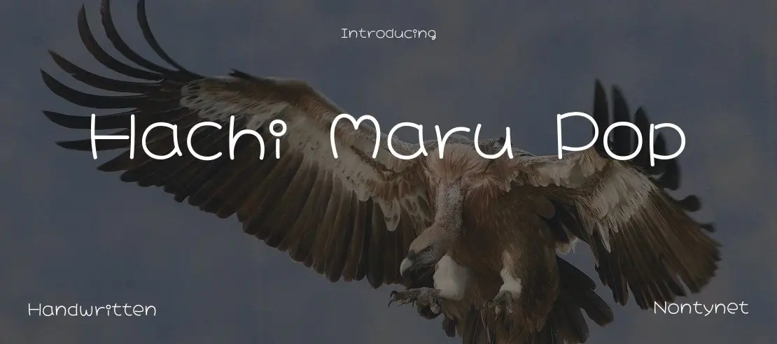 hachi-maru-pop-1110x492-2a36934809.webp