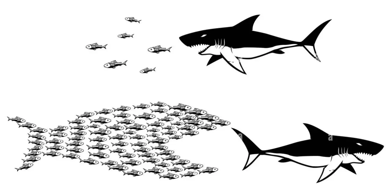 big-fish-small-fish.webp