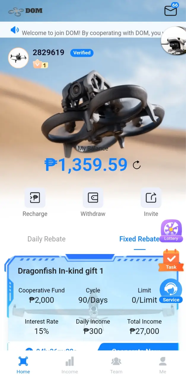 Screenshot_20250505-145339_DOM.webp