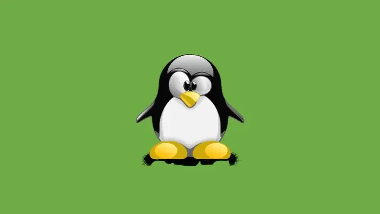 1746590104093.webp