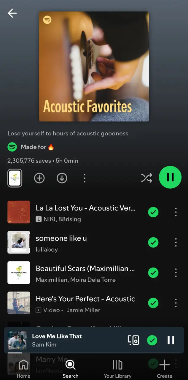 Acoustic Favorites | Spotify