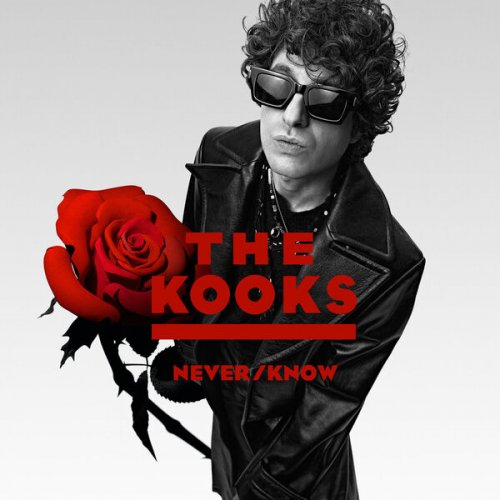 The Kooks  Never/Know (2025)