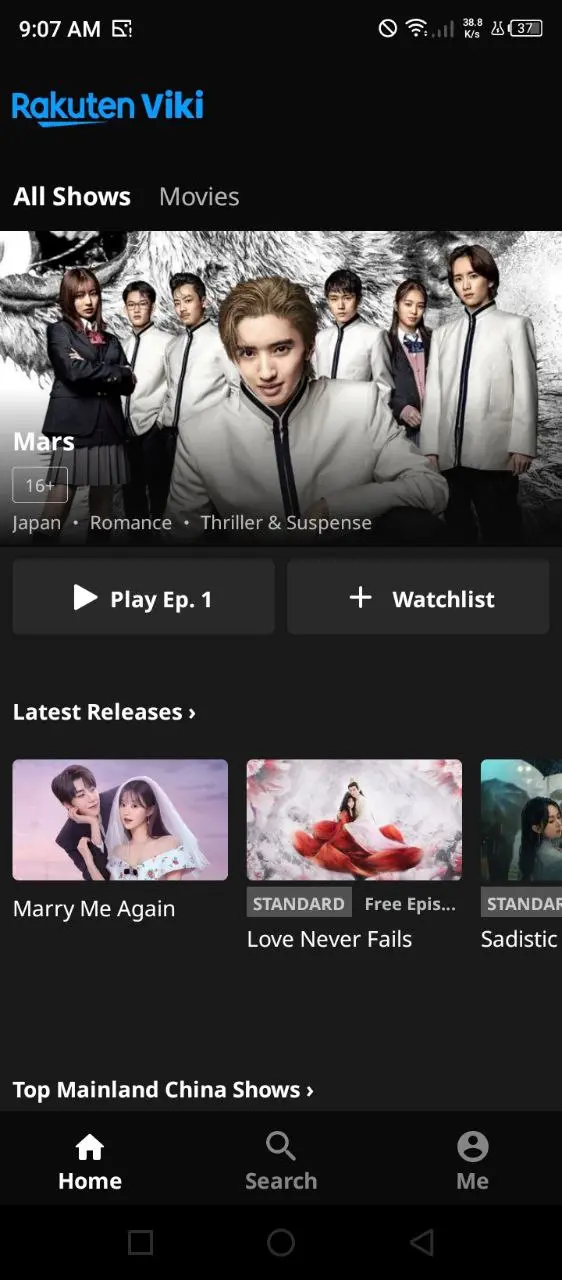 viki (1).webp