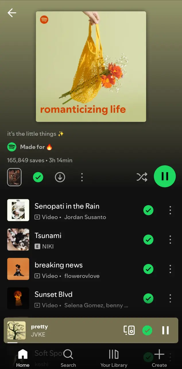 Romanticizing life | Spotify