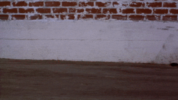 200.gif