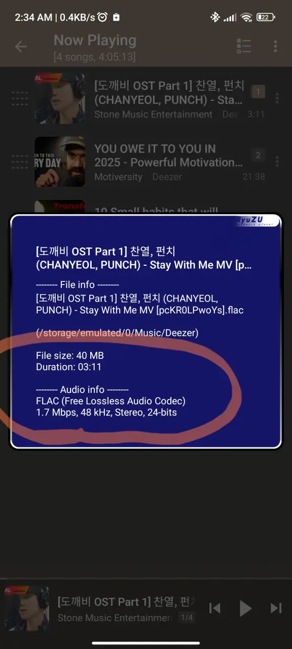 Download FLAC audio from YT