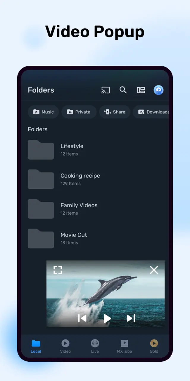 MX-Player-Pro2.webp