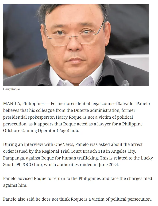 panelo-roque-appears-to-be-a-pogo-lawyer p2.webp