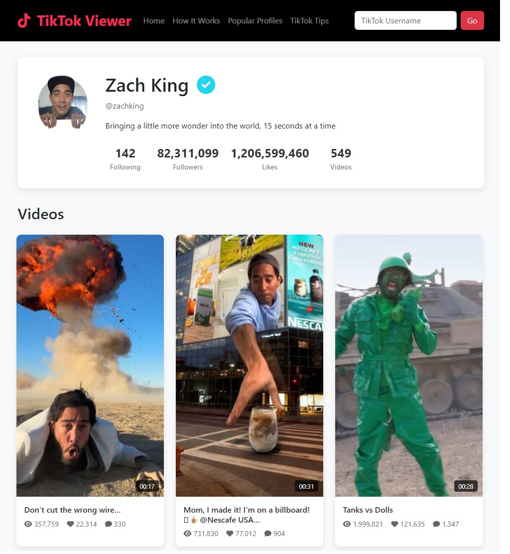 Tik-Tok-Viewer.jpg