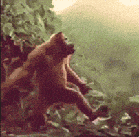 200.gif