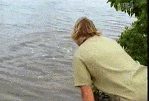 200.gif