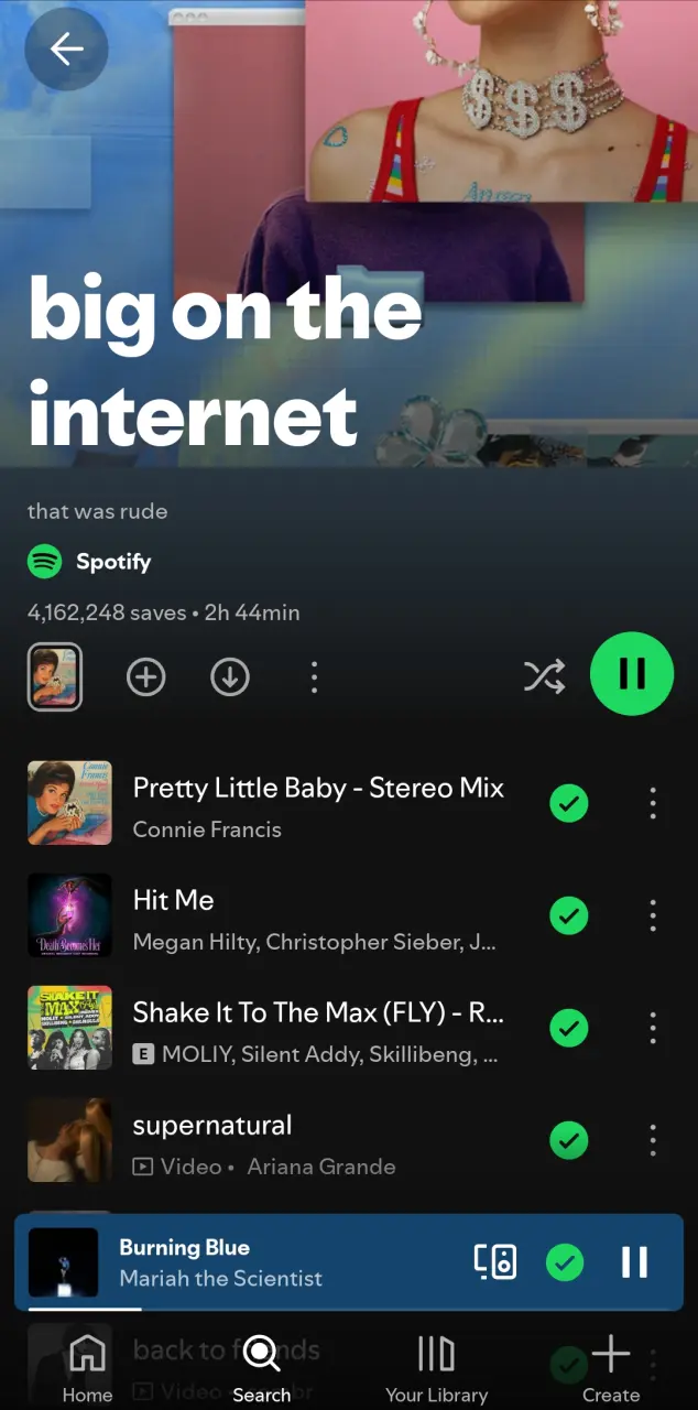 Big on the internet | Spotify