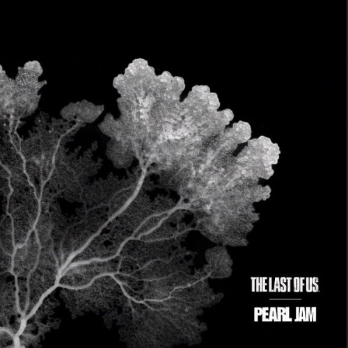 Pearl Jam  The Last of Us (2025)