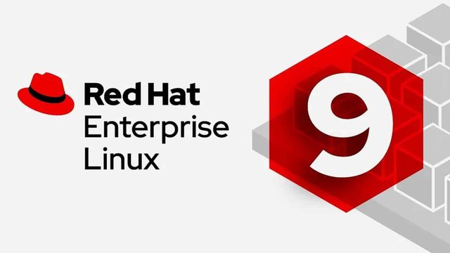 rhel-9.jpg
