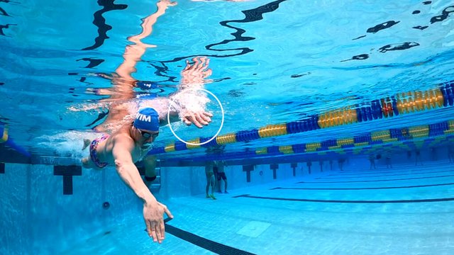 myswimpro-freestyle-hand-entry-1024x576.jpg