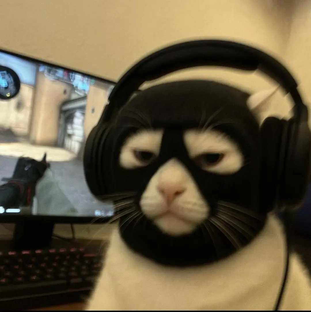 ssstik.io_1748598659019.webp