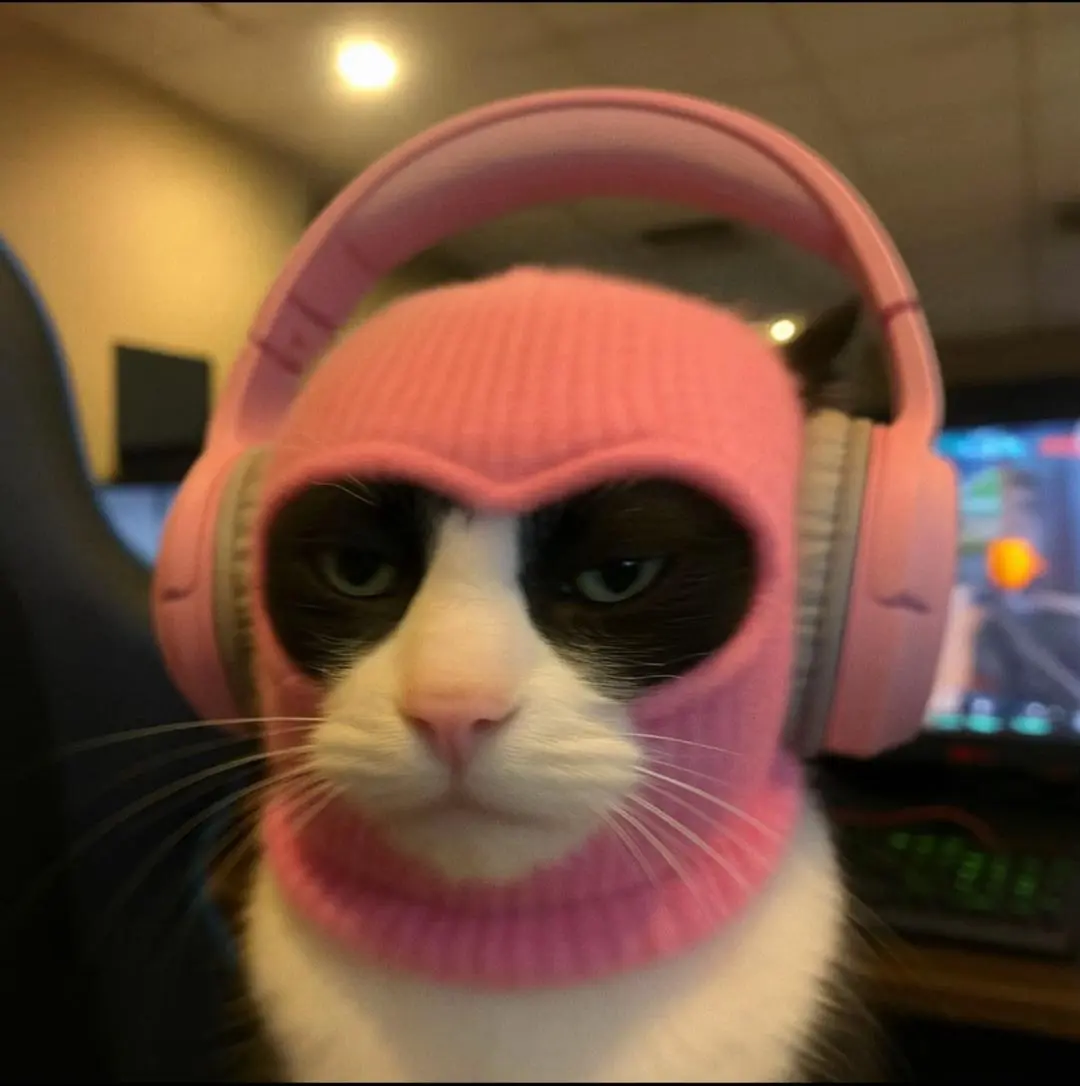 ssstik.io_1748599353698.webp