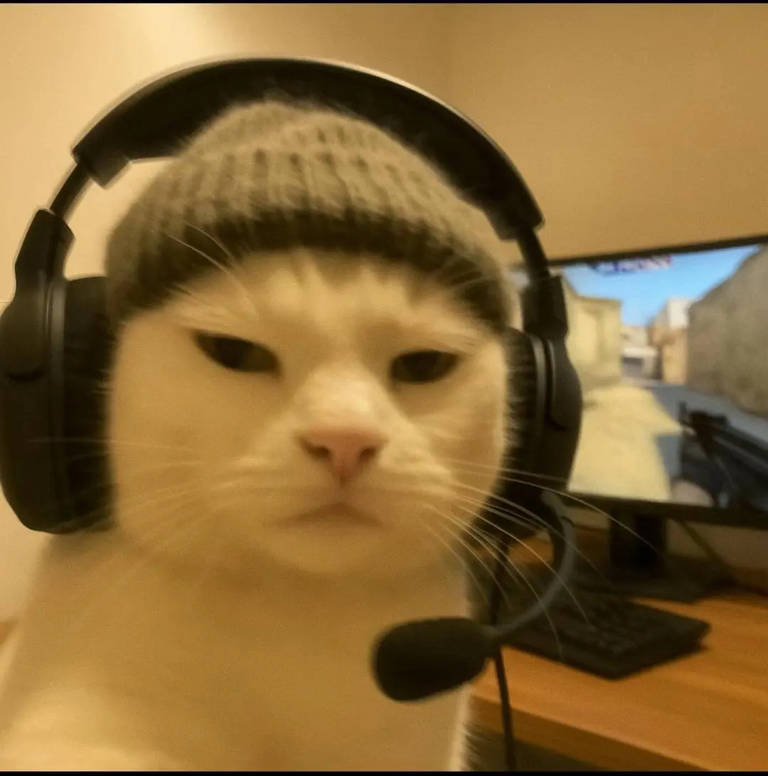ssstik.io_1748598664822.webp