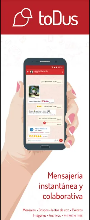 rt.webp