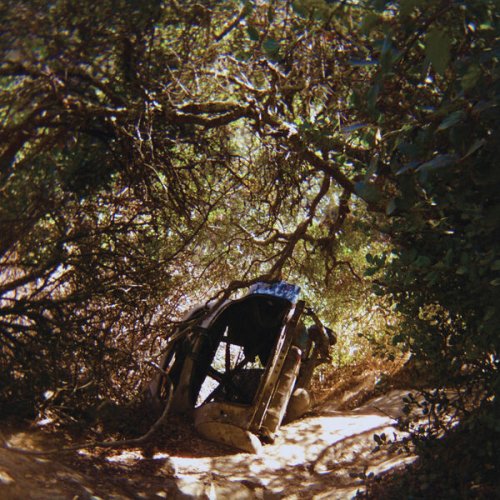 Ty Segall  Possession (2025)
