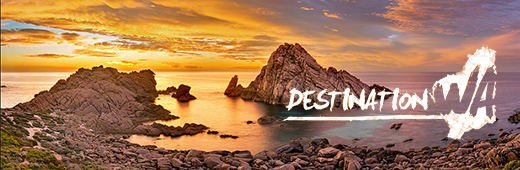 Destination Wa S16e17 720p Web-Dl H264-7vfr33104d