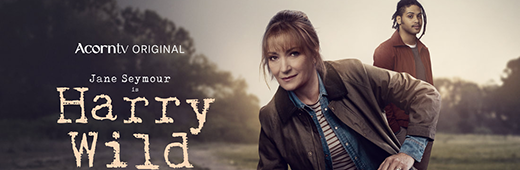 Harry Wild S04e06 720p Amzn Web-Dl H264-Rawr