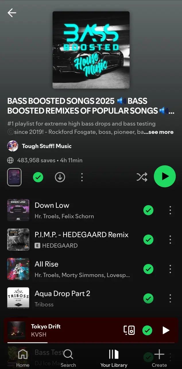 BASS BOOSTED SONGS 2025   BASS BOOSTED REMIXES OF POPULAR SONGS  GEILE REMIXES MIT VIEL BASS