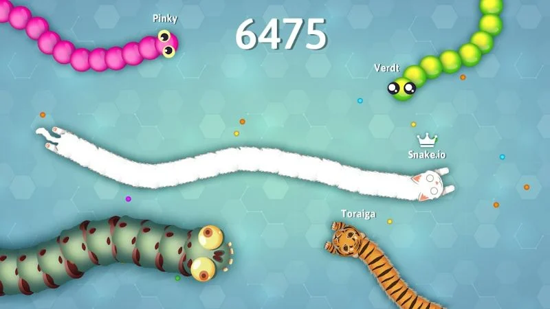 Snake (2).webp