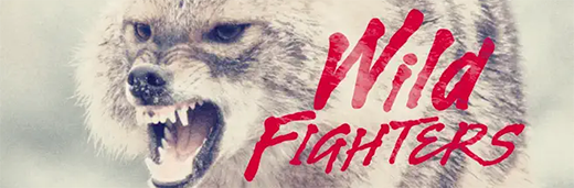 Wild Fighters S01e05 1080p Web H264-Bawd