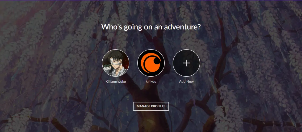 Screenshot 2025-06-06 171519.webp
