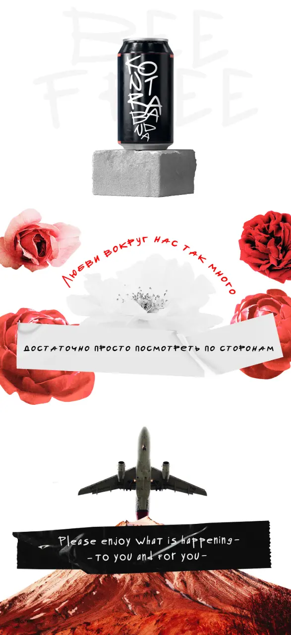 9a851b211819687.672a4963851c5.webp