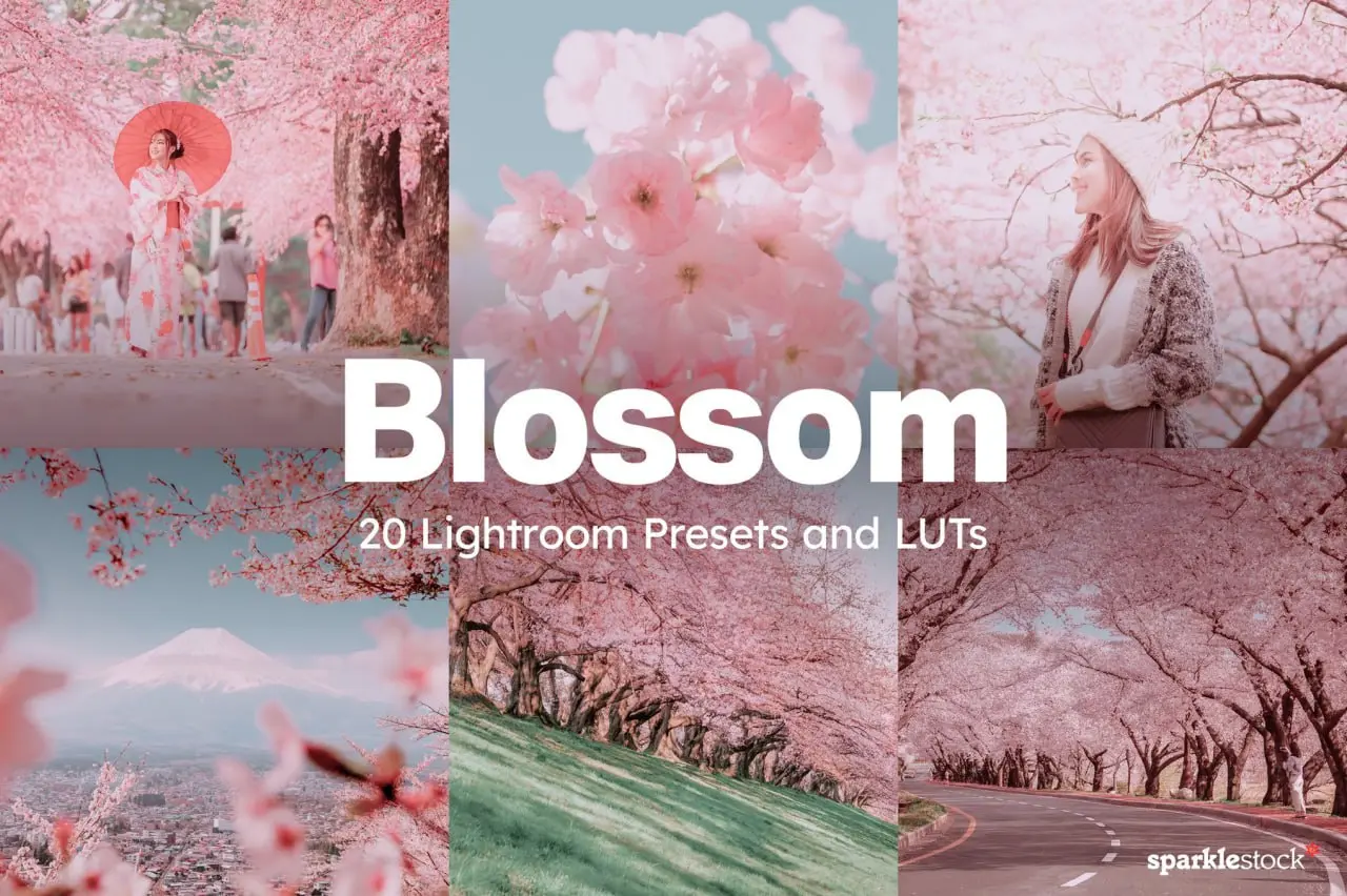 blossom presets (1).webp