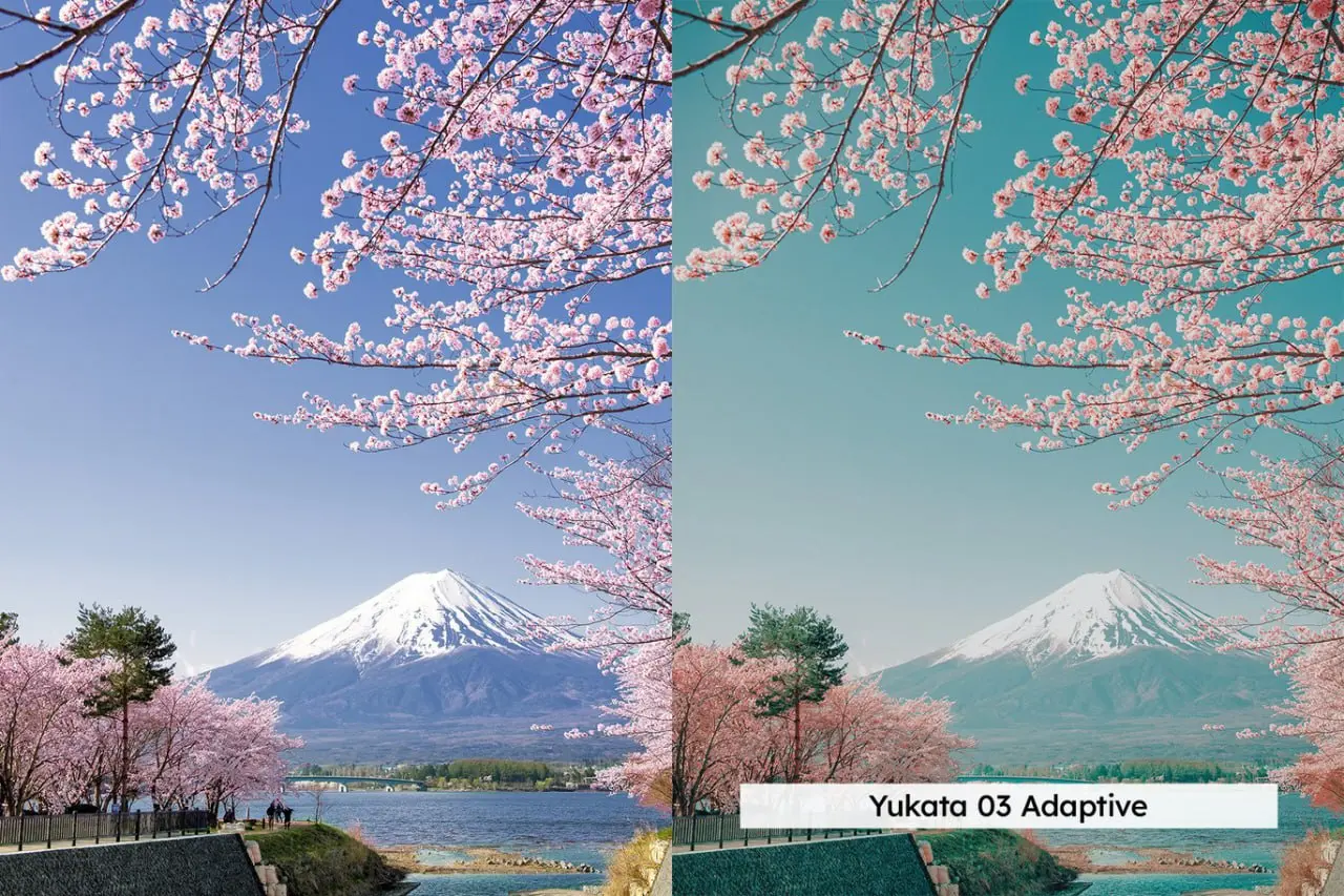 blossom presets (2).webp