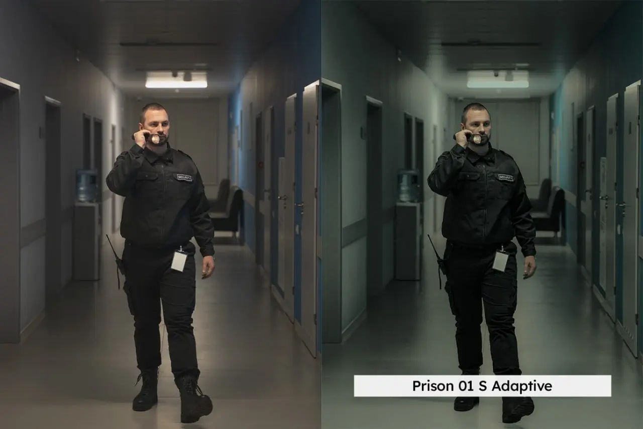 crime film presets (3).webp