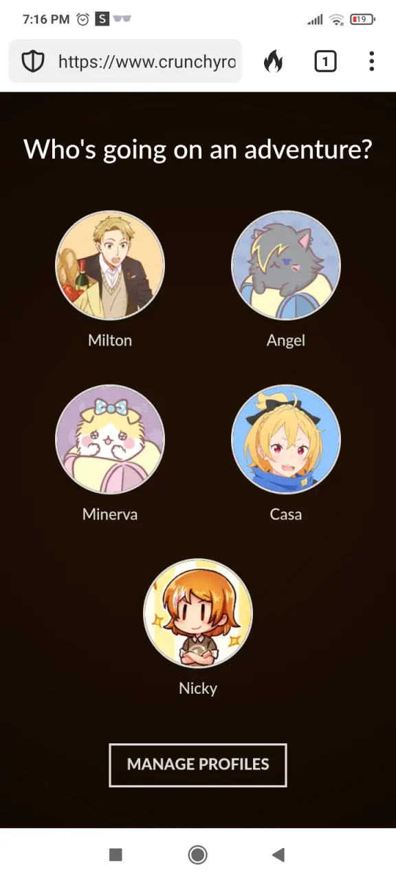 Screenshot_2025-06-13-19-16-55-244_com.duckduckgo.mobile.android.webp