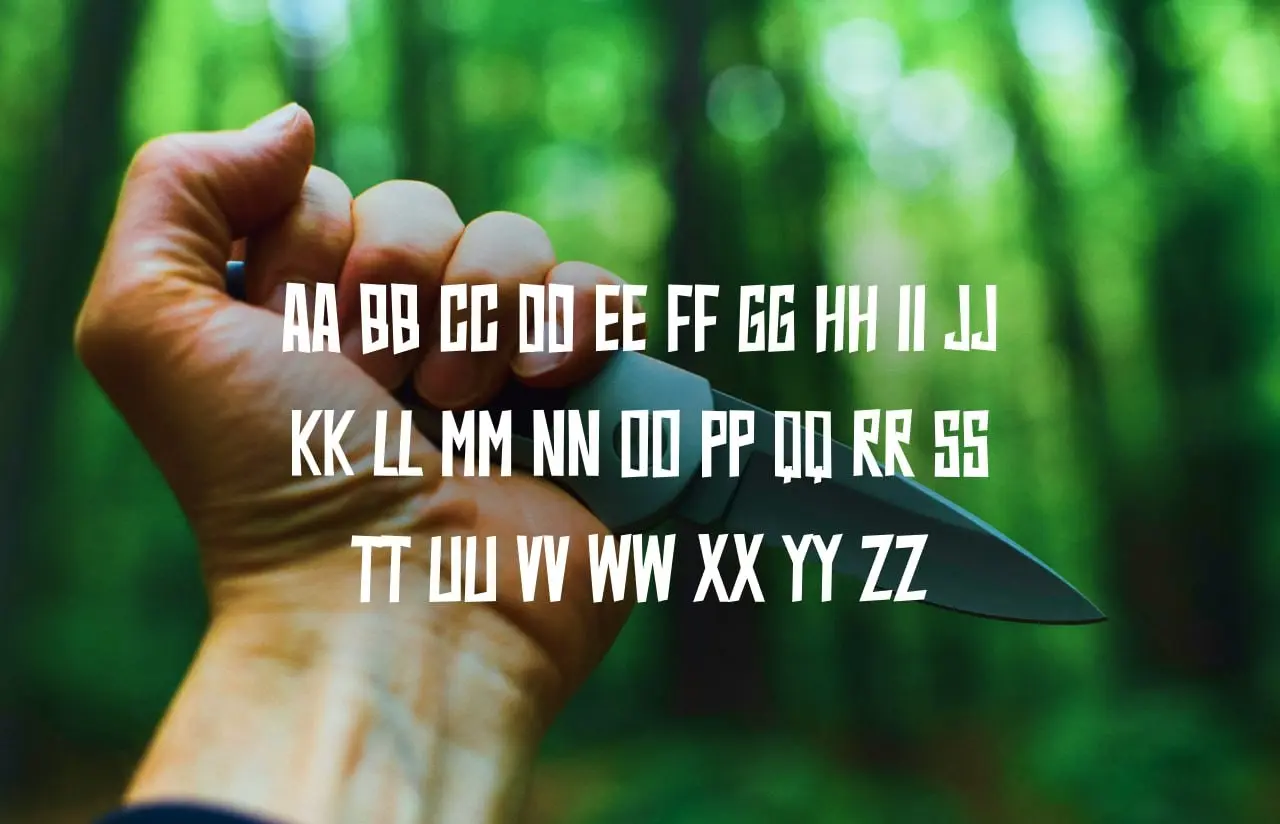 photo_5413628916389763528_y.webp