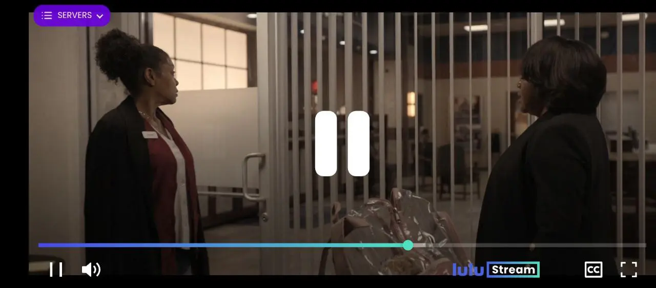 flix vision (2).webp