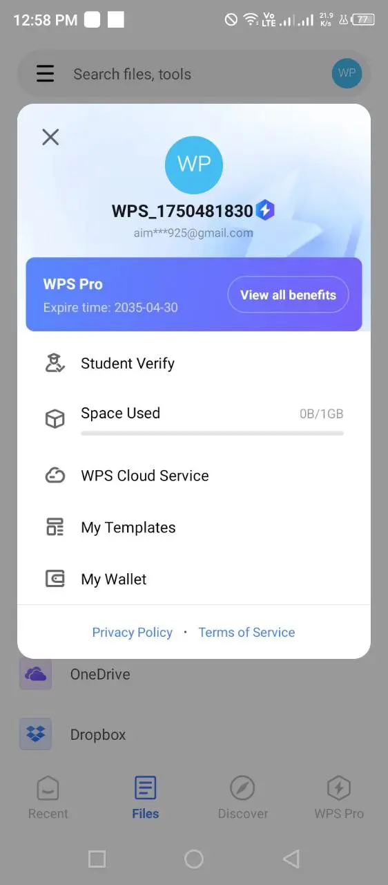 wps pro (2).webp