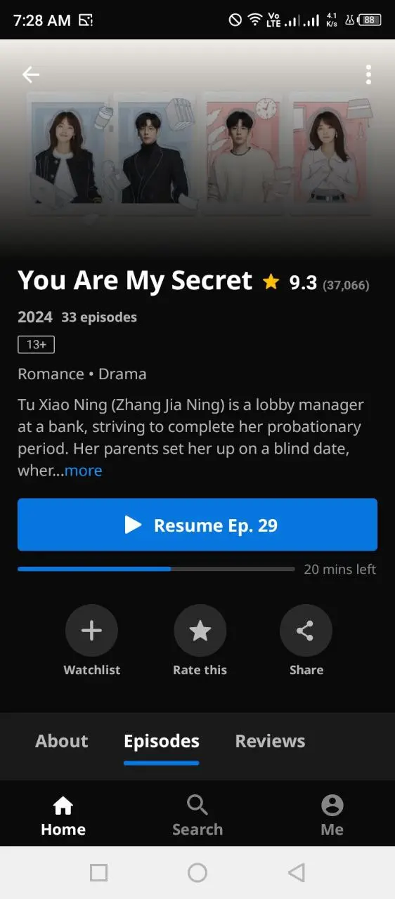 viki (3).webp